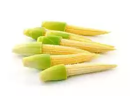 baby-corn-25-gm-550-gm