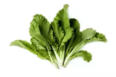 badhakopi-pata-chinese-cabbage-leaves-1-pcs