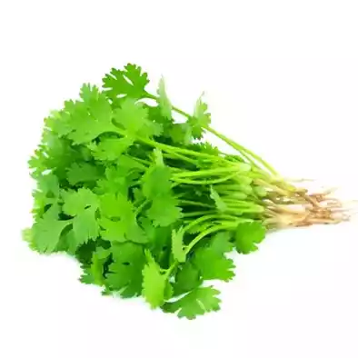 dhoniya-pata-coriander-leaves-10-gm-100-gm
