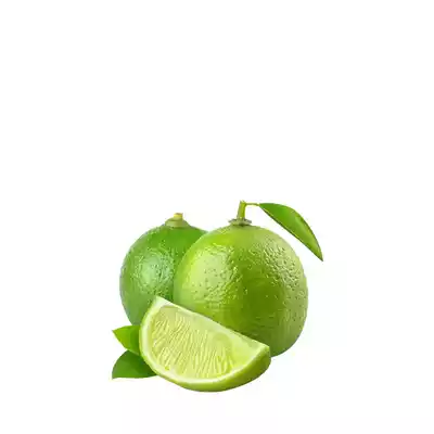 gol-lebu-round-lemon-4-pcs