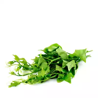 lau-shak-sweet-bitter-melon-leaves-1-bundle
