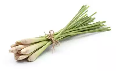 lemon-grass-stalk-12-gm-250-gm