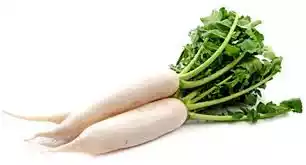 mula-radish-25-gm-500-gm