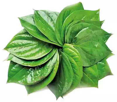 paan-betel-leaf-30-pcs