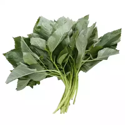 pat-shak-jute-spinach-1-bundle