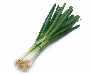 peyaj-pata-spring-onion-12-gm-250-gm