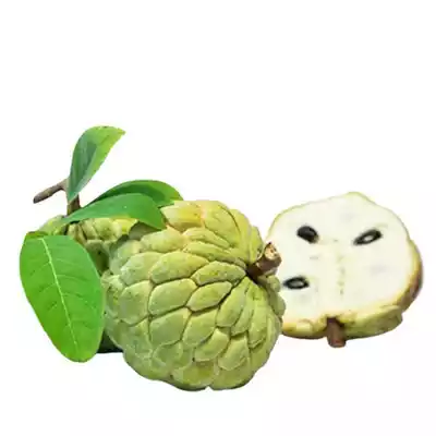sugar-apple-ata-phol-1-pcs