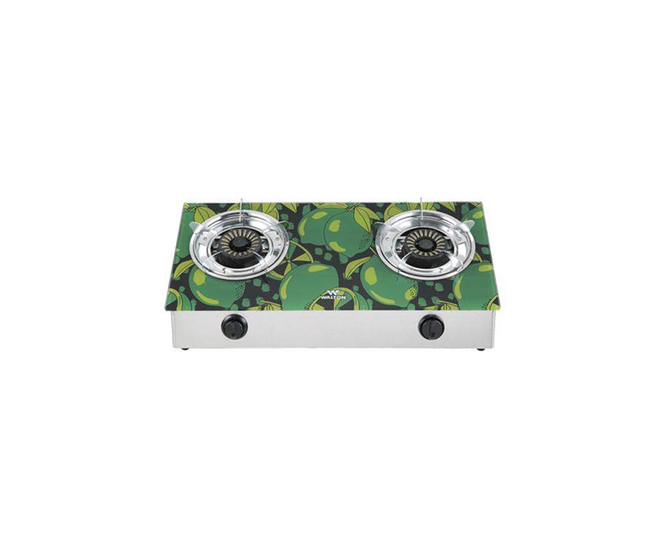 WGS-GDC11 (LPG / NG)