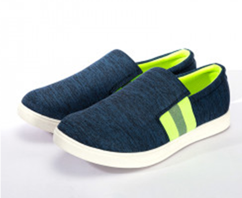 Walkar Men Canvas