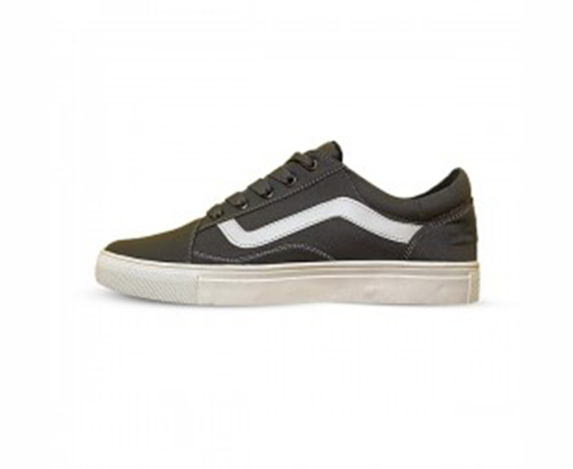 Vans Canvas Causal Sneaker For Men