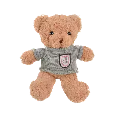 taddy-bear-with-sweater-soft-toy-1-pcs
