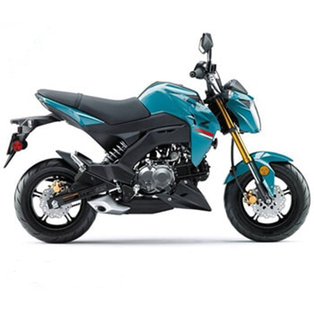 Kawasaki Z125 Pro